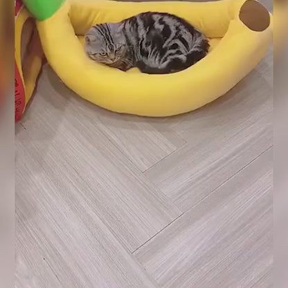 Cat Bed&Play™ Donut