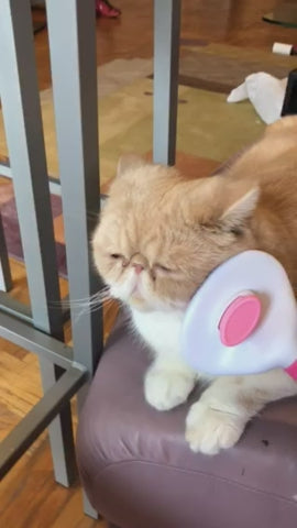 The Fur-nado™, Cat & Dog Self Cleaning Brush